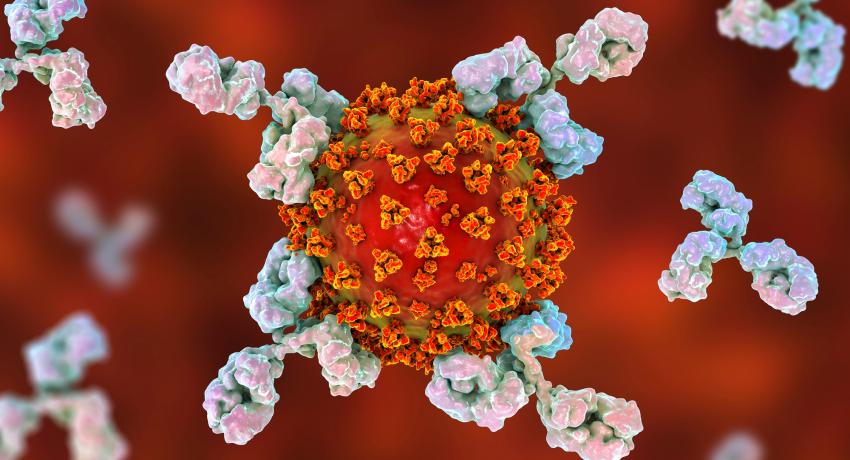 Antigen-Specific Antibody Discovery