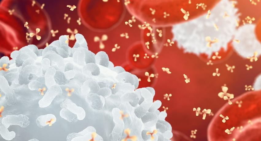 Personalized Profiling of Human Antibody Repertoires