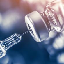Evaluation of Antibody Responses to Multivalent Vaccines