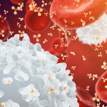Personalized Profiling of Human Antibody Repertoires